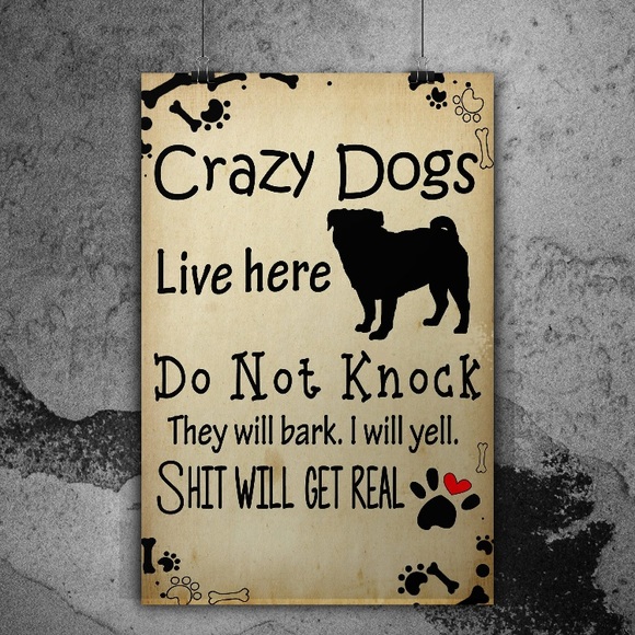 Meet your Posher, Gina - Picture 1 of 1